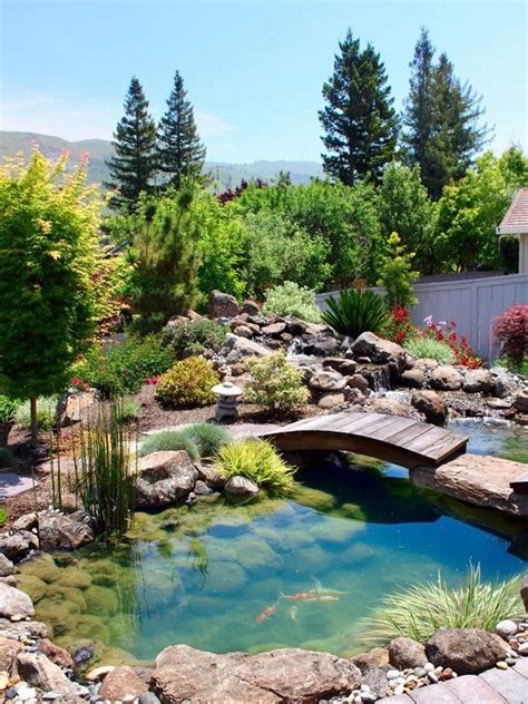 Pond Design Ideas 的图像结果