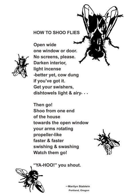 How to Shoo Flies Poem Towel - Etsy Canada | American folk songs, Shoo ...