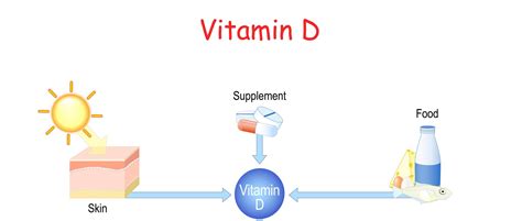 What Helps Increase Vitamin D Absorption