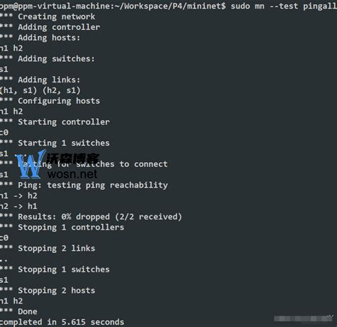 Mini Net with Python Docker 的图像结果