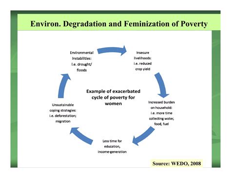 Susan Karuti: Gender, Forestry and Climate Change | PDF