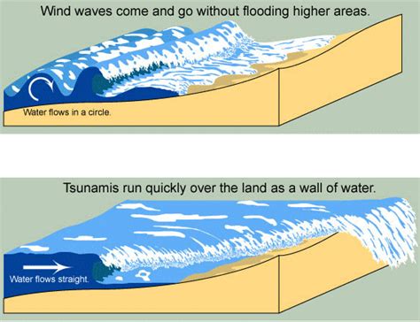 Tsunami Infographics - Best Of The Web