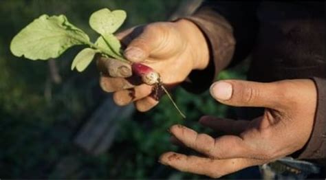 Image result for Killer Bride Painting