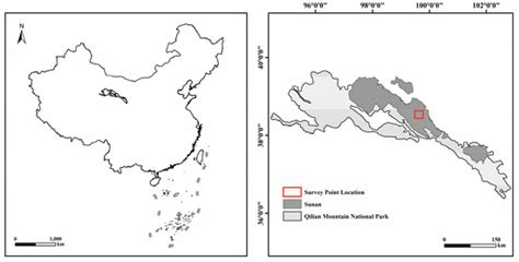 Spatiotemporal Activity Patterns of Sympatric Rodents and Their ...