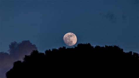 Pink Moon 2025: Why this april full moon is a rare micromoon event ...