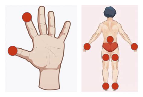 Image result for Inertial Sensor Tutorial