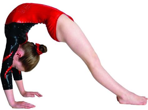 Image result for Gymnastics Bridge Variations