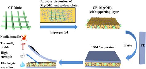PgMP Process 的图像结果