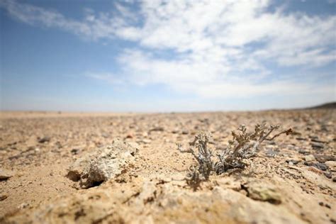 Cracked dry earth in extreme drought