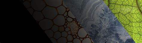 Image result for Celestron Update Software