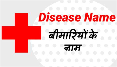 Domestic Animals Name In Hindi-English (पालतू जानवर के नाम) | Pets Name