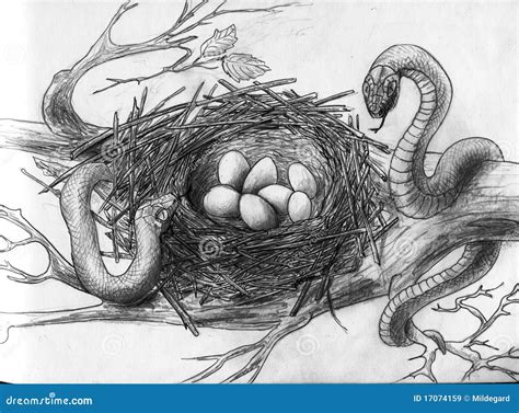 Snakes Nest, Illustration, Vector | CartoonDealer.com #160176697