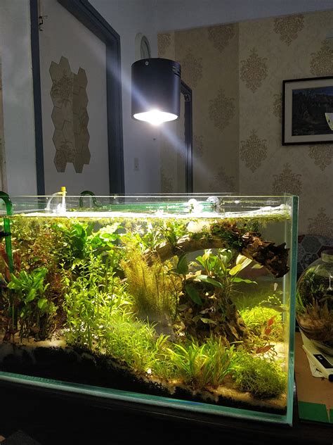 Buy Light Concepts LED COB Surface Ceiling Light 30-Watt (Neutral White ...