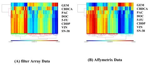 CIM Expression 的图像结果