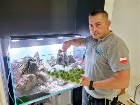 Aquascaping – fascynująca różnorodność w szkle - Akwarystyka - Magazyn ...