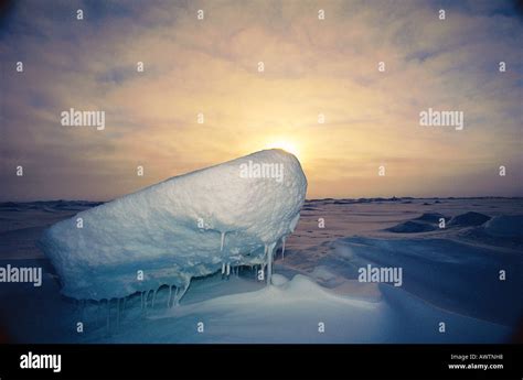 Earth North Pole 的图像结果