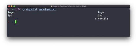 Unix Command Diff Commands 的图像结果