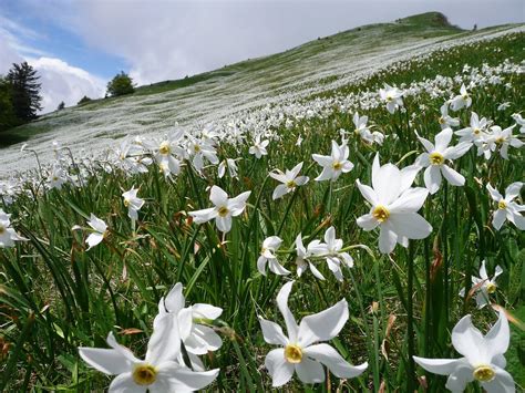 THE 10 BEST Places to Visit in Jesenice (2025) - Must-See Attractions