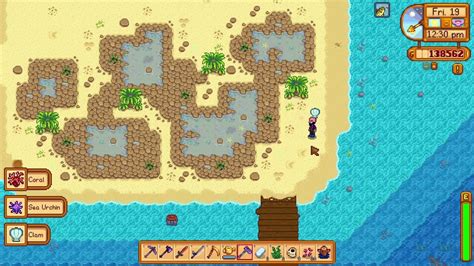Where to get Sea Urchins in Stardew Valley For Beginners - YouTube