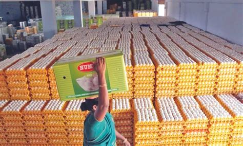 Summer showers revive heat-affected egg production in Namakkal