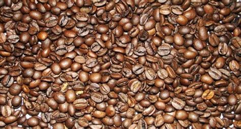 咖啡豆含多少咖啡因_百度知道