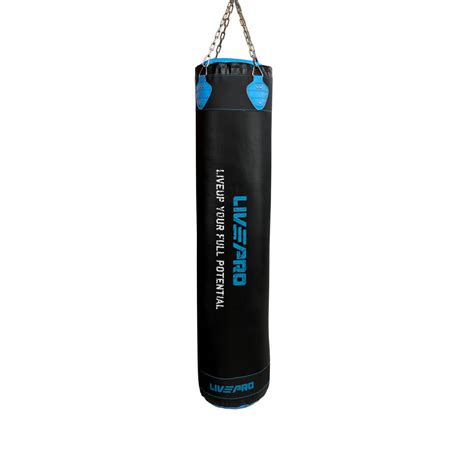 Livepro Hanging Punching Bag Singapore | Premium Boxing Bag for Home Gym