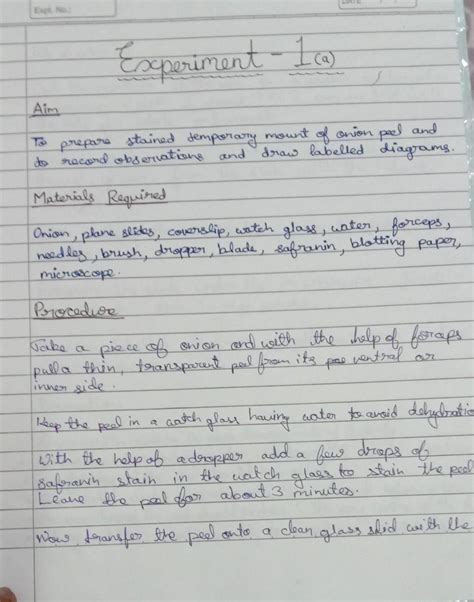 lab activity to observing onion peel cell? - Brainly.in