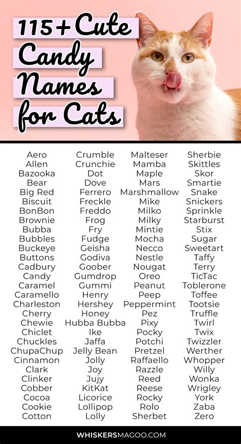 110 cute black and white cat names for girl cats – Artofit