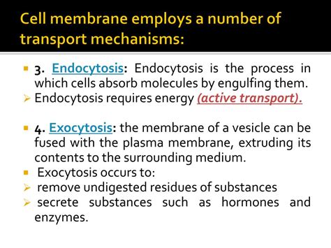 Image result for Cell Membrane Microscope Slides