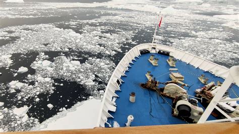 Image result for Ice Types Polar Code