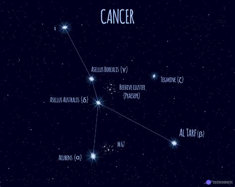 ALL 88 Star Constellations (+ Names & Meanings & Pictures)