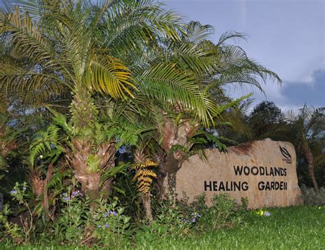 Woodlands Healing Center