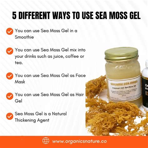 How To Use Sea Moss Flakes at Molly Ralph blog