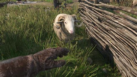 How To Cure Food Poisoning in Kingdom Come Deliverance 2 - Insider Gaming