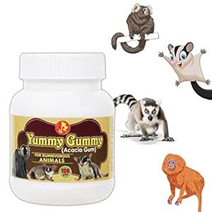 Buy Pet Care International (PCI) Yummy Gummy | Acacia Gum Powder | Food ...