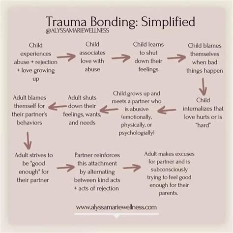 Trauma Explained 的图像结果