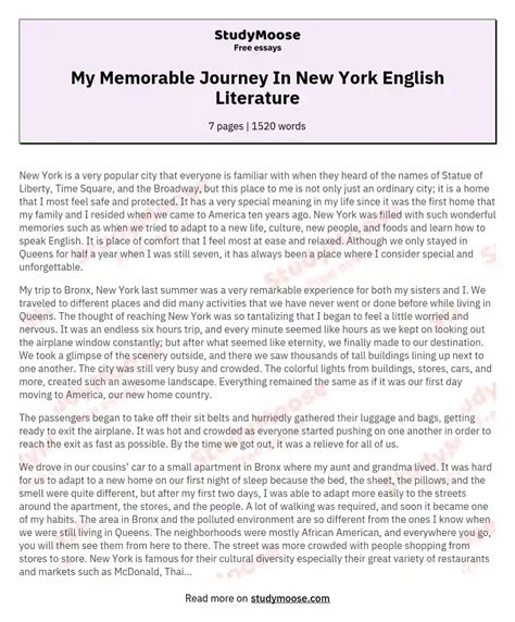 My Memorable Journey In New York English Literature Free Essay Example