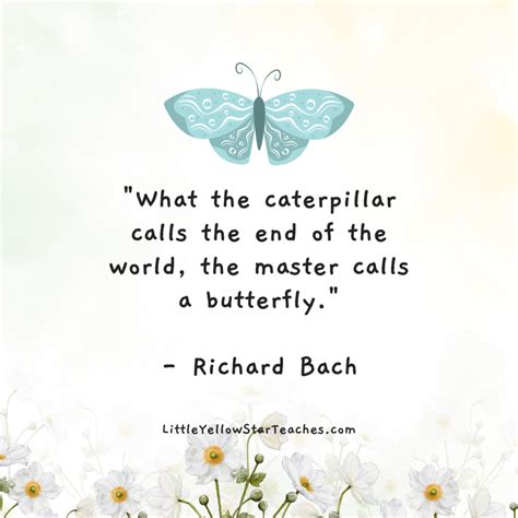 Death And Butterfly Quotes Butterflies Died Quote