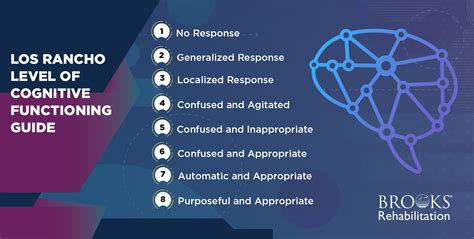 Brain Concussion Stages