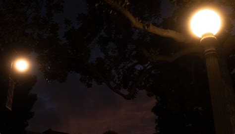 Image result for Diffusion Filter Halation Effect