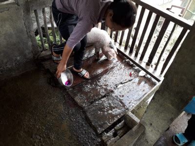 Deworming and Sanitation month