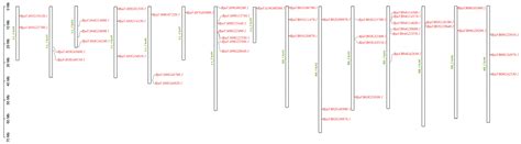 Genome-Wide Identification and Expression Analysis of bHLH-MYC Family ...