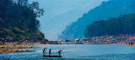 Mizoram's push for oil palm plantations might end up hurting the ...