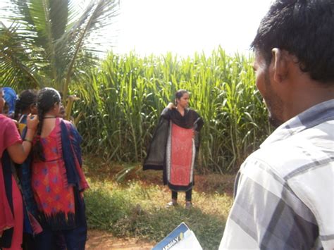 AASC – Department of Zoology