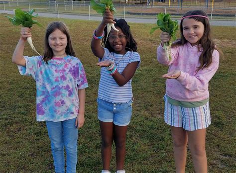 Berrien County School District