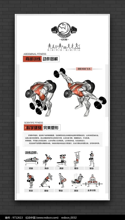 俯卧哑铃飞鸟健身动作海报图片下载_红动中国
