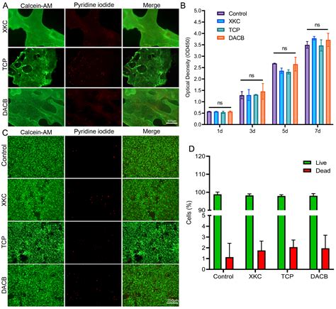 Decellularized Antler Cancellous Bone Matrix Material Can Serve as ...