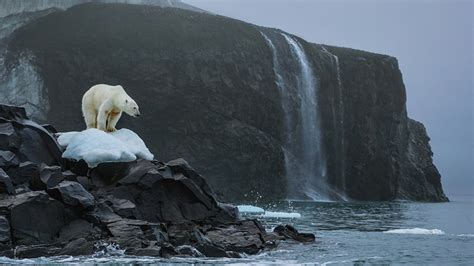 Global Warming 的图像结果
