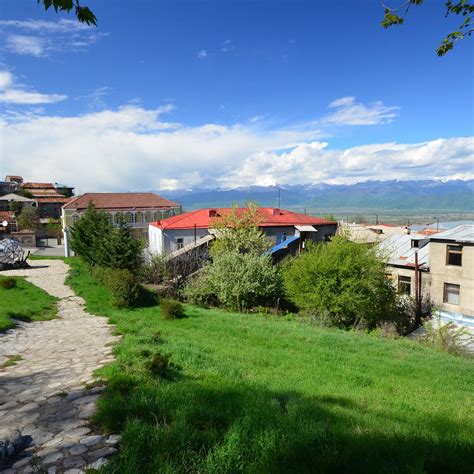 GIANT PLANE TREE (2025) All You Need to Know BEFORE You Go (with Photos ...