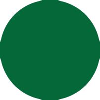 VNIPS Courses
